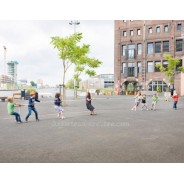 Tira y afloja - Sokatira